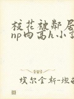 校花被邻居强迫np肉高h小说