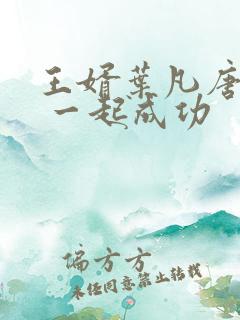 王婿叶凡唐若雪 一起成功