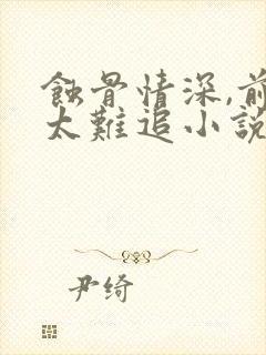 蚀骨情深,前妻太难追小说完整版