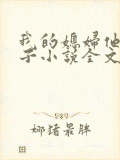 我的媳妇他的妻子小说全文阅读