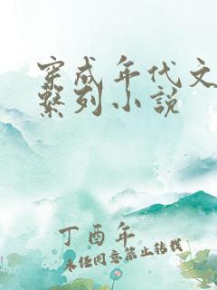 穿成年代文婆婆系列小说