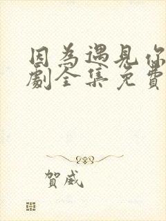 因为遇见你电视剧全集免费高清