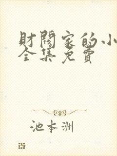 财阀家的小儿子全集免费