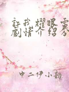 许我耀眼电视剧剧情介绍分集