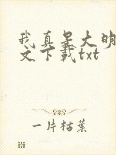 我真是大明星全文下载txt