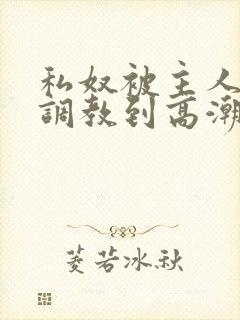 私奴被主人玩弄调教到高潮