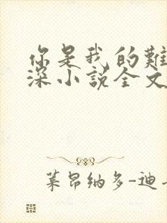 你是我的难得情深小说全文免费阅读