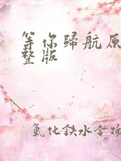 等你归航原唱完整版