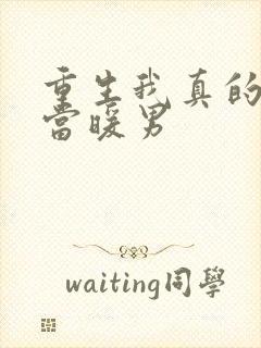 重生我真的只想当暖男