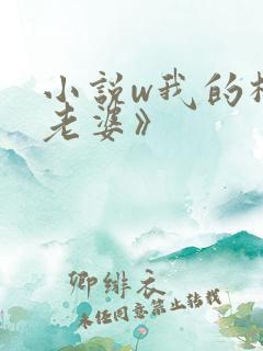 小说w我的极品老婆》