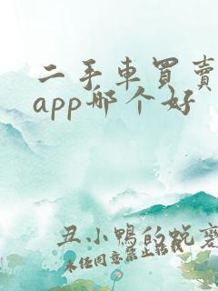 二手车买卖平台app哪个好