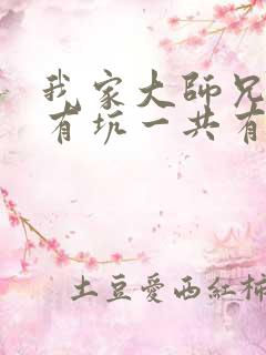 我家大师兄脑子有坑一共有几季