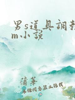 男s道具调教女m小说