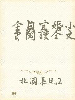 今日宜婚小说免费阅读全文