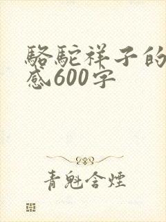 骆驼祥子的读后感600字