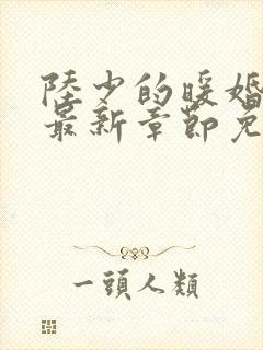 陆少的暖婚新妻最新章节免费阅读