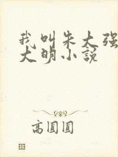 我叫朱大强穿越大明小说