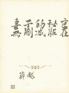 妻子的秘密日剧无删减版在线观看