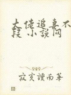 大佬追妻不择手段 小说网