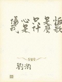 伤心只是怕伤害我是什么歌