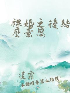 裸婚之后结局什么意思