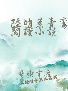 陆明叶青鸾免费阅读小说