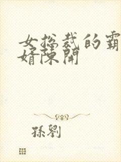 女总裁的霸道狂婿陈开