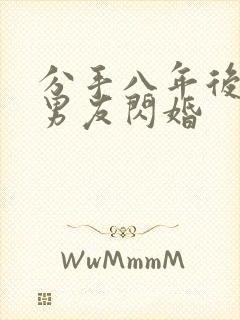 分手八年后和前男友闪婚