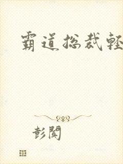 霸道总裁轻点爱