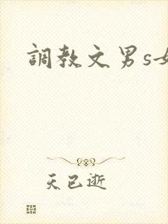 调教文男s女m