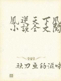 凤逆天下凰北月小说全文阅读