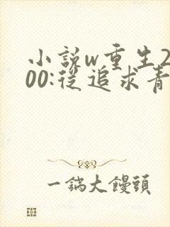 小说w重生2000:从追求青涩校花同桌开始》