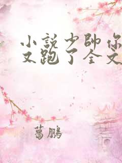 小说少帅你老婆又跑了全文免费