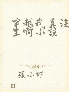 穿越我真没想重生啊小说