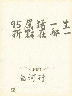 95属猪一生转折点在哪一年