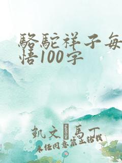 骆驼祥子每章感悟100字