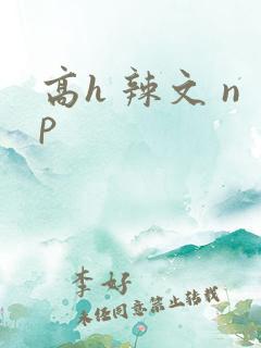 高h 辣文 np