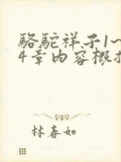 骆驼祥子1~24章内容概括