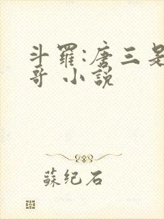 斗罗:唐三是我哥 小说