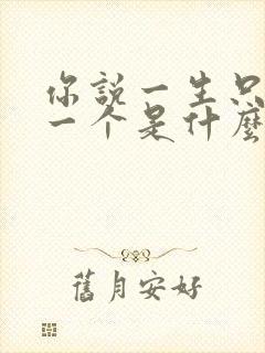 你说一生只爱我一个是什么歌