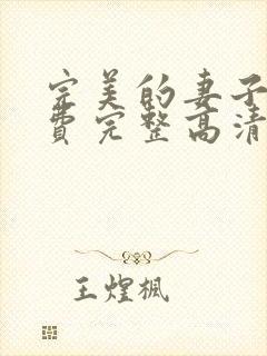 完美的妻子5免费完整高清韩剧