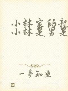 小林家的龙女仆小林是男是女