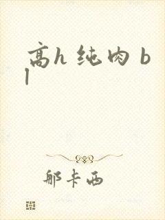 高h 纯肉 bl