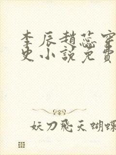 李辰赵蕊穿越历史小说免费阅读