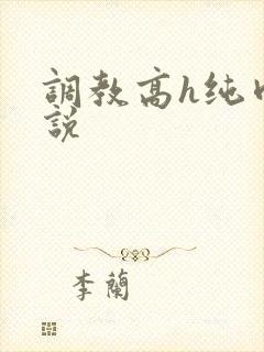 调教高h纯肉小说