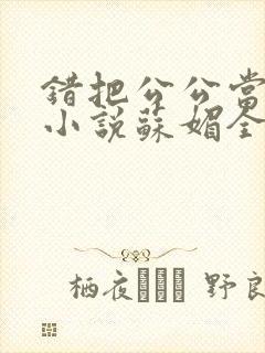 错把公公当老公小说苏媚全文阅读