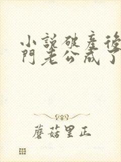 小说破产后,上门老公成了我的金主