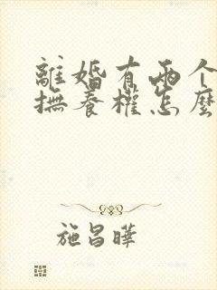 离婚有两个小孩抚养权怎么判定的