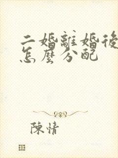 二婚离婚后财产怎么分配