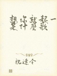 想你就起一阵风是什么歌